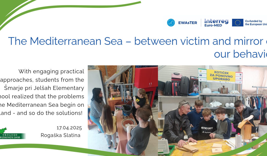 The Mediterranean Sea: A Victim and a Mirror of Our Actions